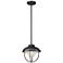 1 Light Outdoor Pendant in Black finish
