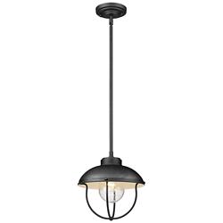 1 Light Outdoor Pendant in Black finish