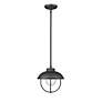5_1 Light Outdoor Pendant in Black finish more views