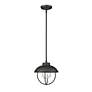6_1 Light Outdoor Pendant in Black finish more views