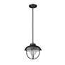 1 Light Outdoor Pendant in Black finish