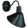 1-Light Outdoor Wall Lantern in Oil Rubbed Bronze