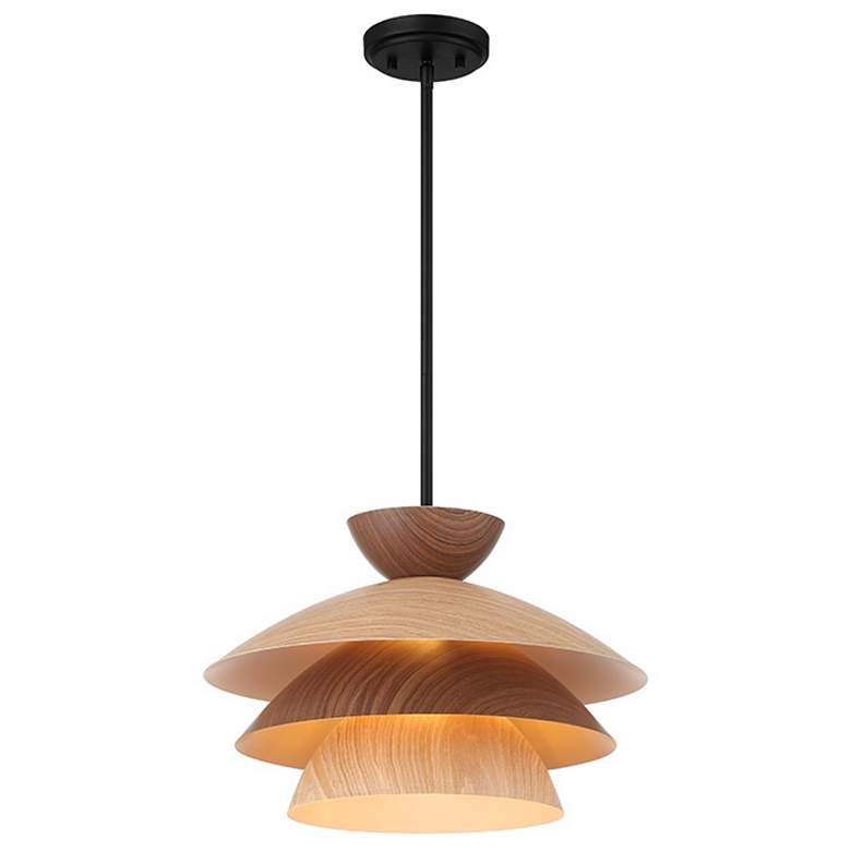 Image 1 1-Light Pendant in Matte Black
