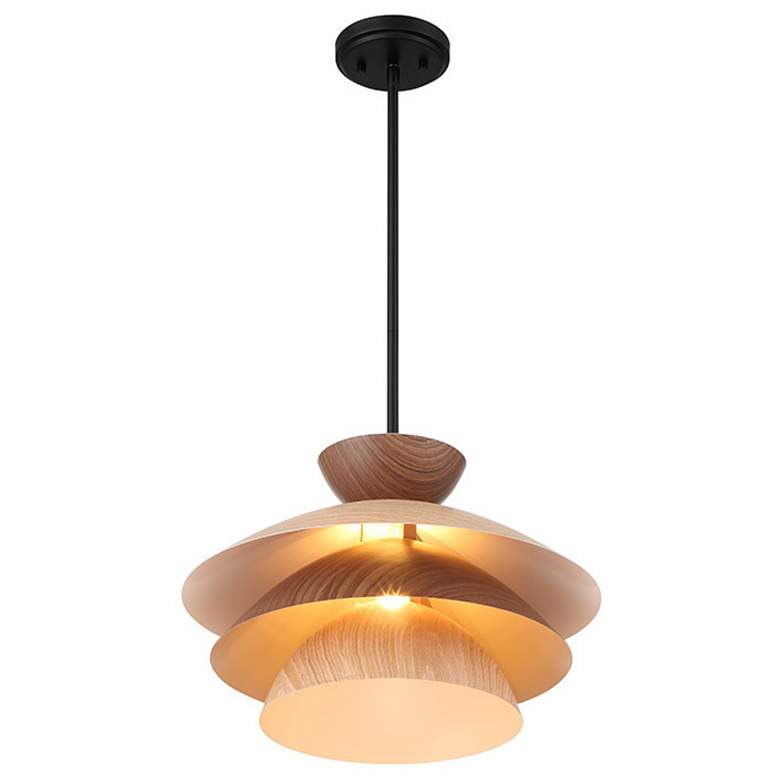Image 2 1-Light Pendant in Matte Black more views