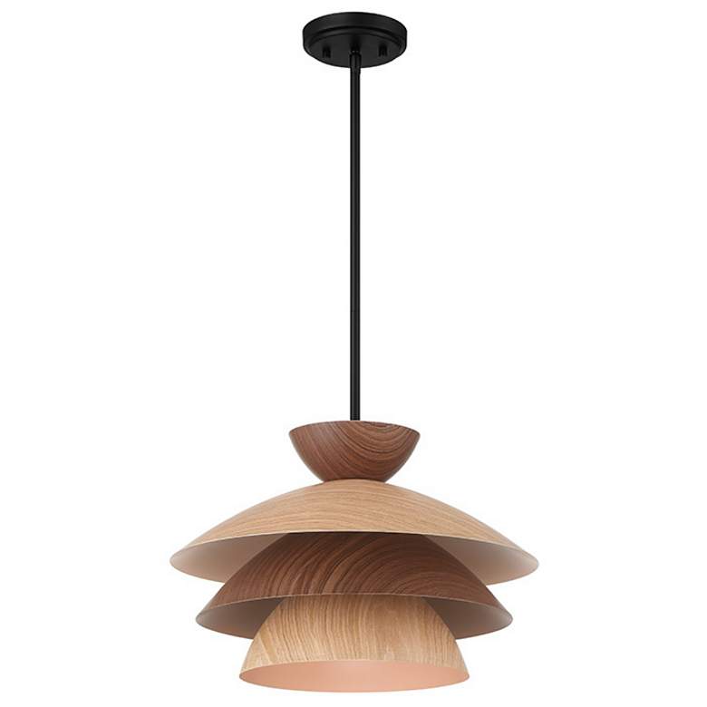 Image 4 1-Light Pendant in Matte Black more views