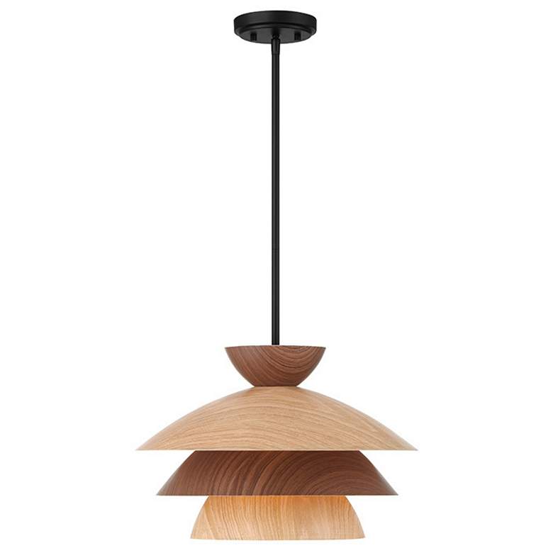Image 5 1-Light Pendant in Matte Black more views