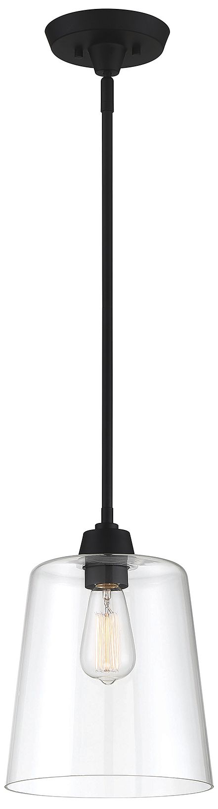1-Light Pendant in Matte Black