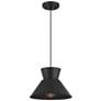 1_1-Light Pendant in Matte Black