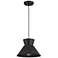 1-Light Pendant in Matte Black
