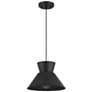 2_1-Light Pendant in Matte Black more views