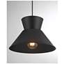 6_1-Light Pendant in Matte Black more views