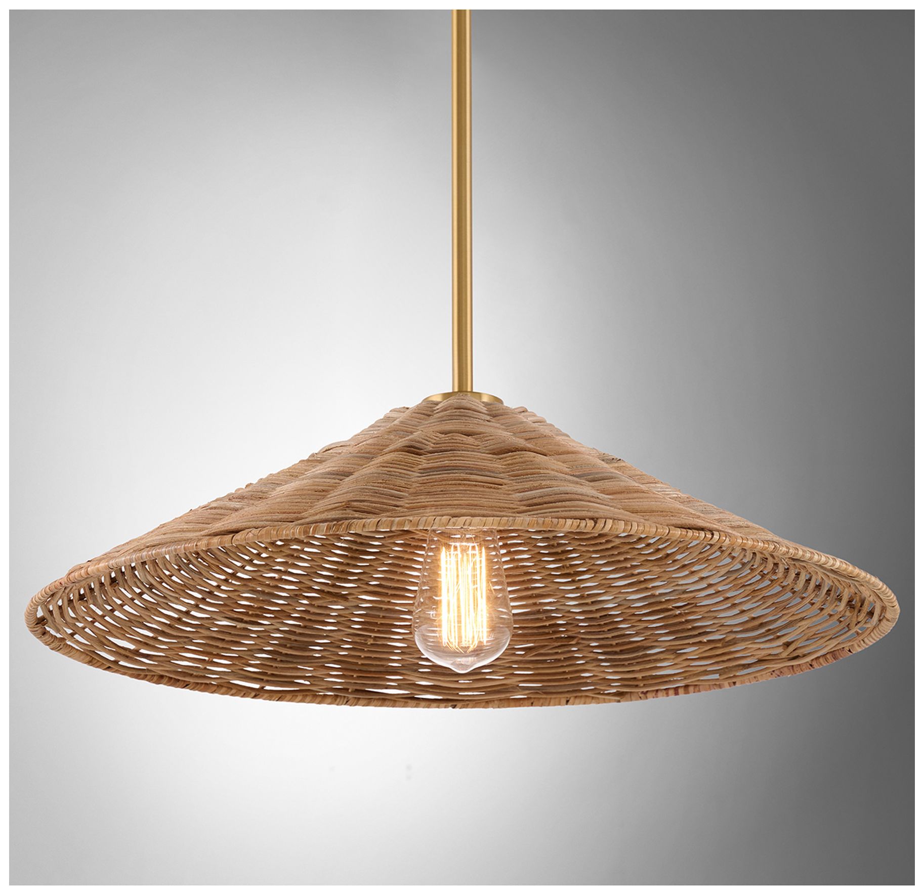 Image 6 1-Light Pendant in Natural Brass more views