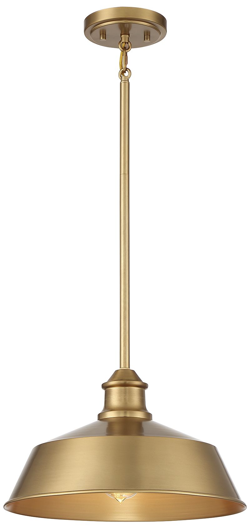 Thumbnail1 of 1-Light Pendant in Natural Brass