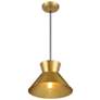 4_1-Light Pendant in Natural Brass more views