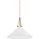 1 Light Pendant