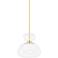 1 Light Pendant