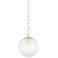 1 Light Pendant