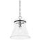 1 Light Pendant