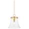 1 Light Pendant