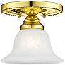 2_1 Light Polished Brass Ceiling Mount