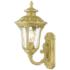 1 Light Soft Gold Outdoor Small Wall Lantern