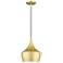 1 Light Soft Gold Pendant with Polished Brass Finish Accents