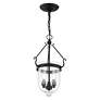 Thumbnail4 of 10-in Black Vintage Single Clear Glass Urn Pendant more views