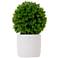 10in. Artificial Boxwood Topiary Plant with Decorative Planter
