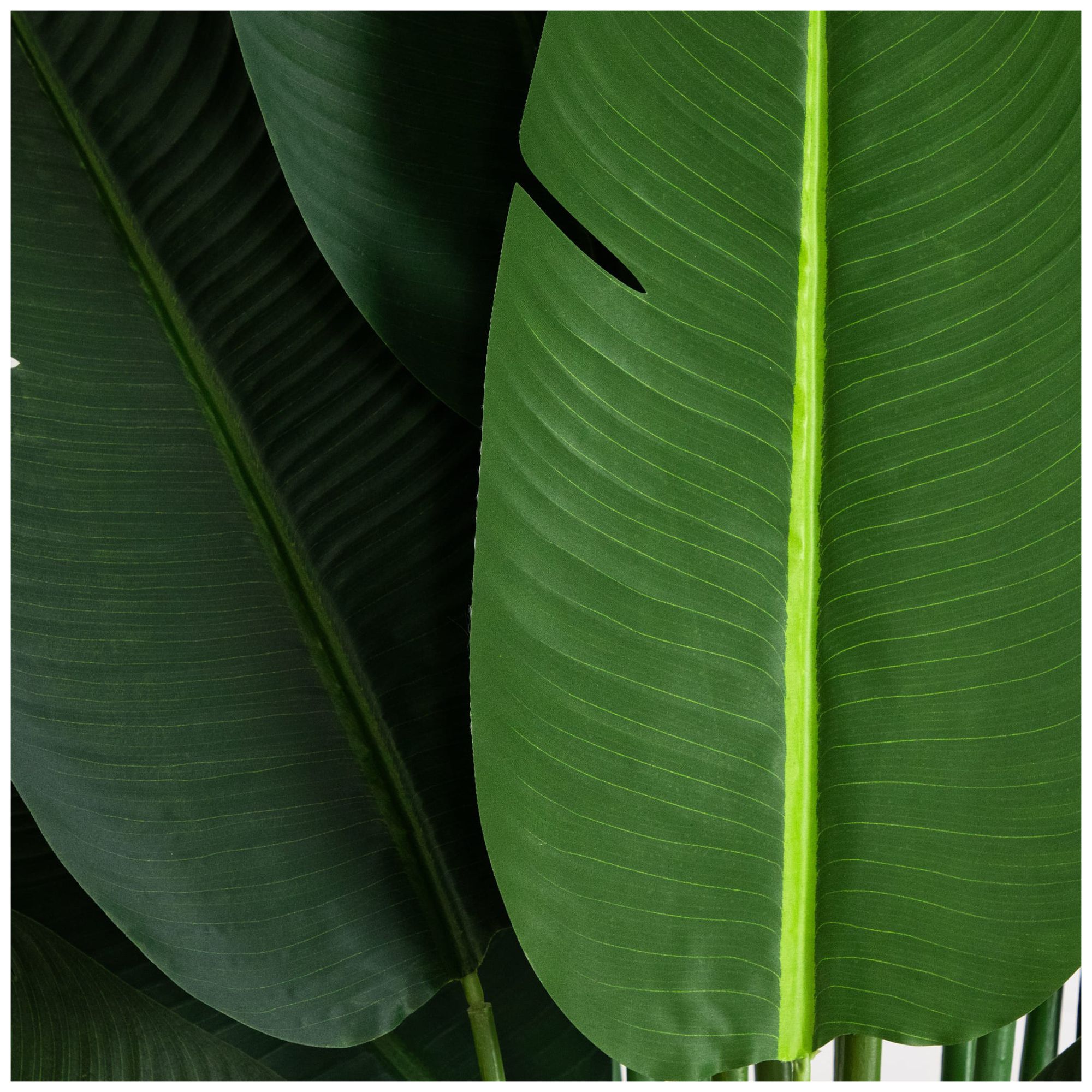 11ft. Artificial Travelers Palm Tree