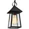 12" High 1-Light Black Seeded Glass Outdoor Pendant Light