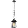 2_12" High 1-Light Black Seeded Glass Outdoor Pendant Light more views