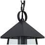 4_12" High 1-Light Black Seeded Glass Outdoor Pendant Light more views