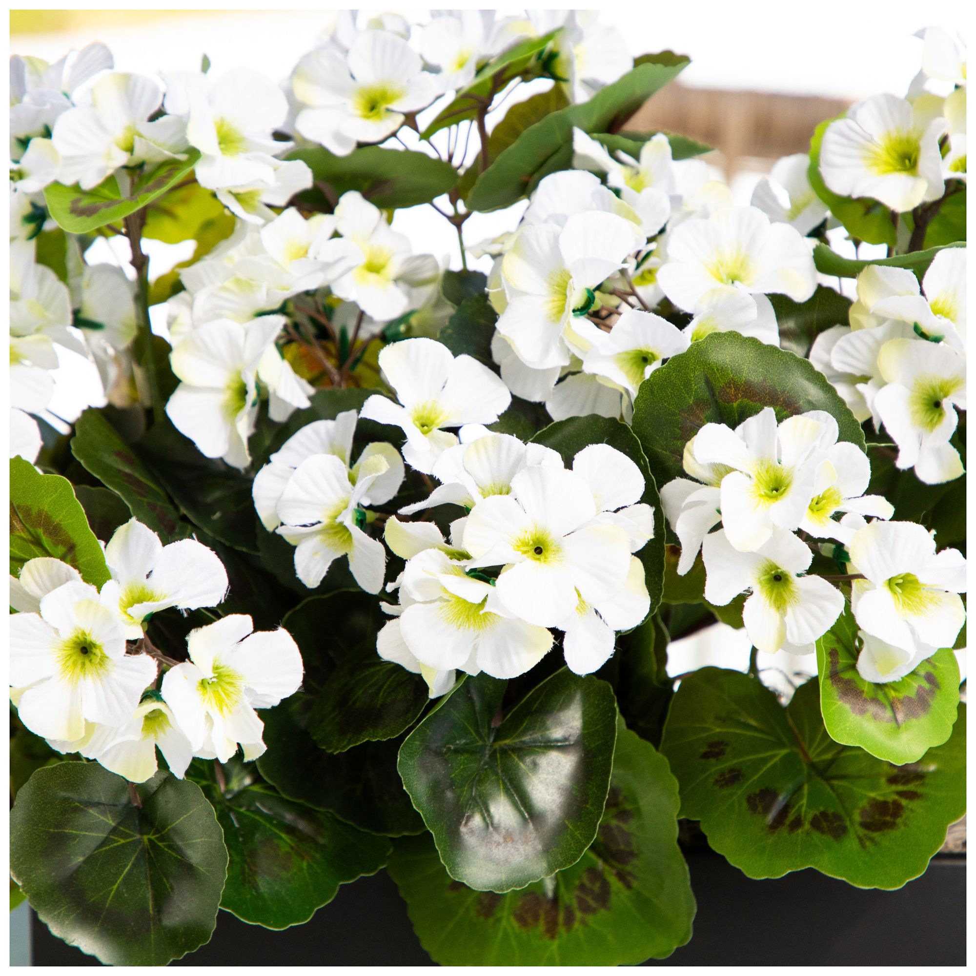 Image 5 13in. UV Resistant Artificial Geranium in Rectangular Planter more views