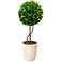14" Tall Faux Boxwood Topiary
