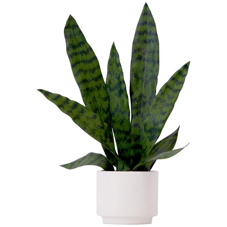 Image 1 16in. Artificial Sansevieria Snake Plant with Decorative Planter