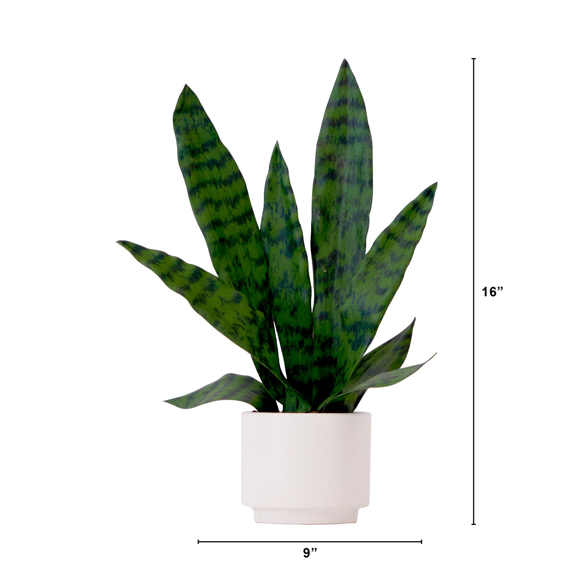 Image 3 16in. Artificial Sansevieria Snake Plant with Decorative Planter more views
