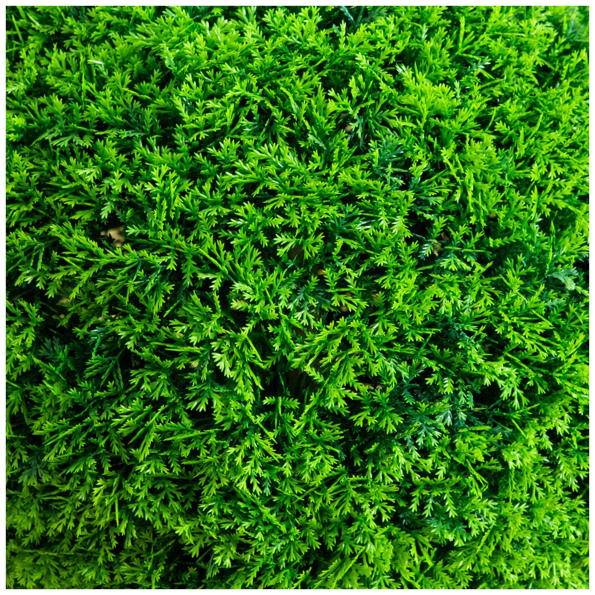 Image 4 16in. UV Resistant Artificial Mediterranean Cypress Topiary Plant more views