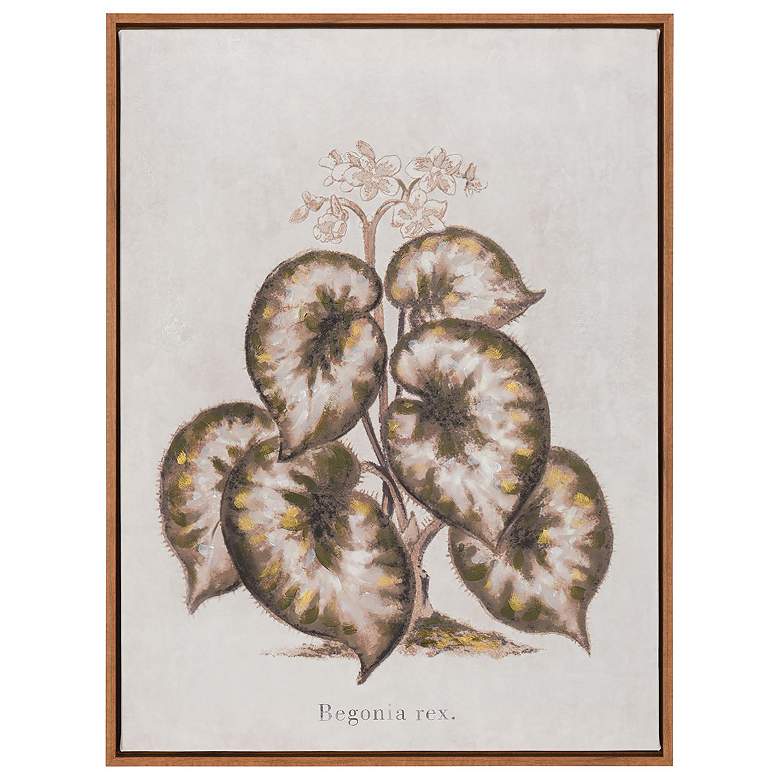 Image 1 18" x 24" Begonia Rex Brown & Green Hand Painted Canvas Wall