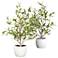 18in. Olive Silk Tree with Vase (Set of 2)