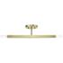 2 Light Antique Brass Semi-Flush