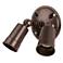 2-Light Architectural Bronze Cast Aluminum Floodlight