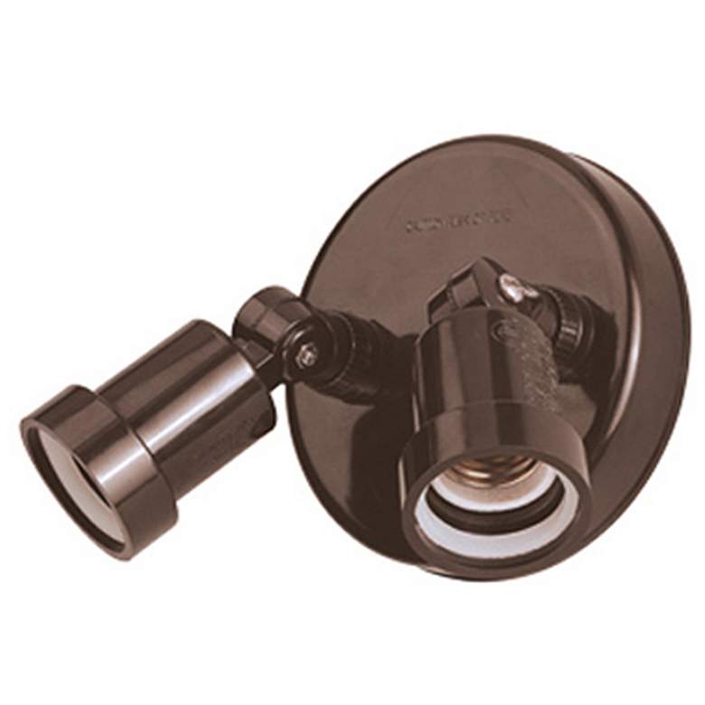 Image 1 2-Light Architectural Bronze Polycarbonate Floodlight