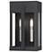 2 Light Black Medium Outdoor Wall Lantern with Brushed Nickel Candles