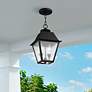1_2 Light Black Outdoor Pendant Lantern