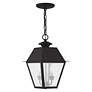 4_2 Light Black Outdoor Pendant Lantern more views
