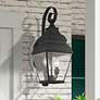 1_2 Light Black Outdoor Wall Lantern