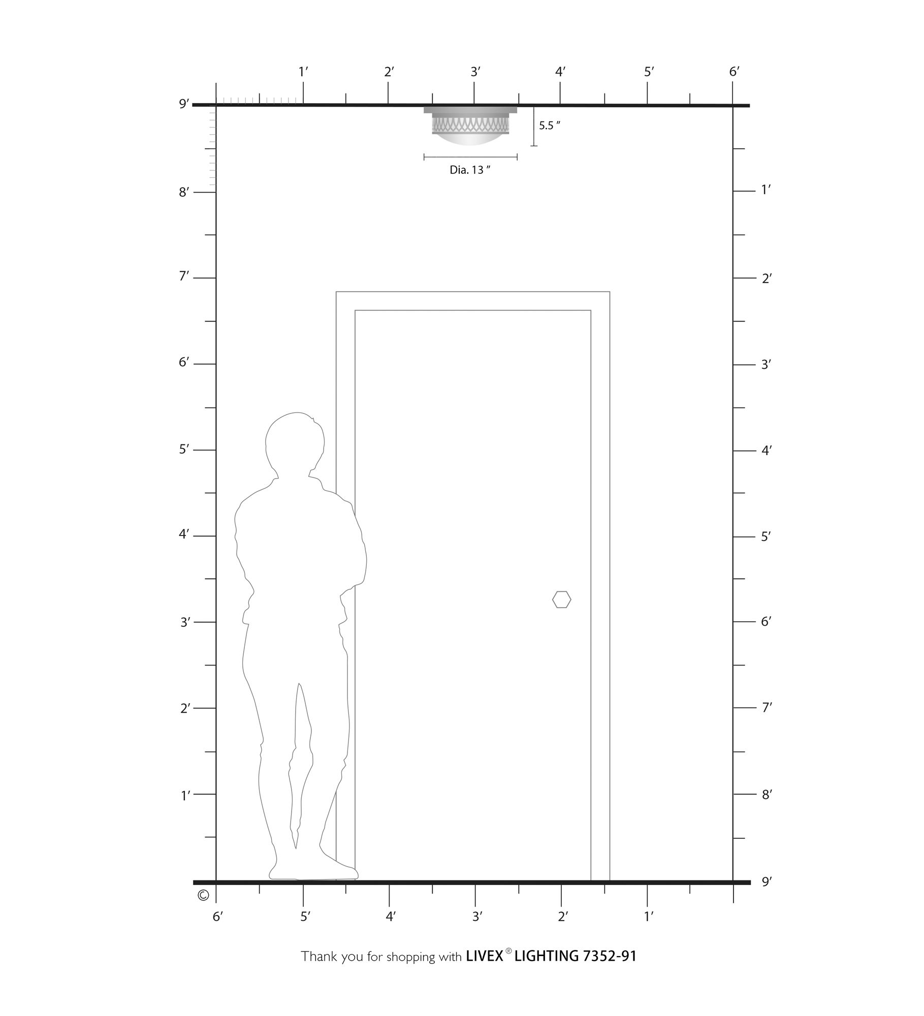 2 Light Brushed Nickel Ceiling Mount