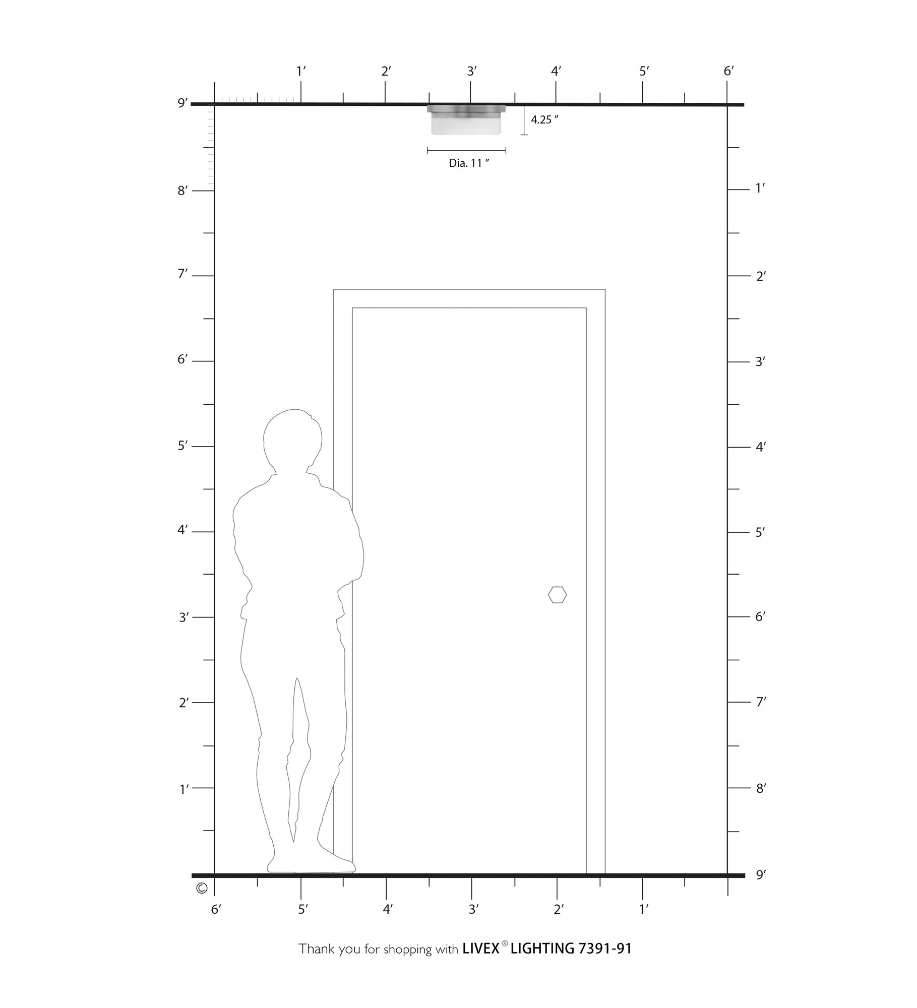2 Light Brushed Nickel Ceiling Mount