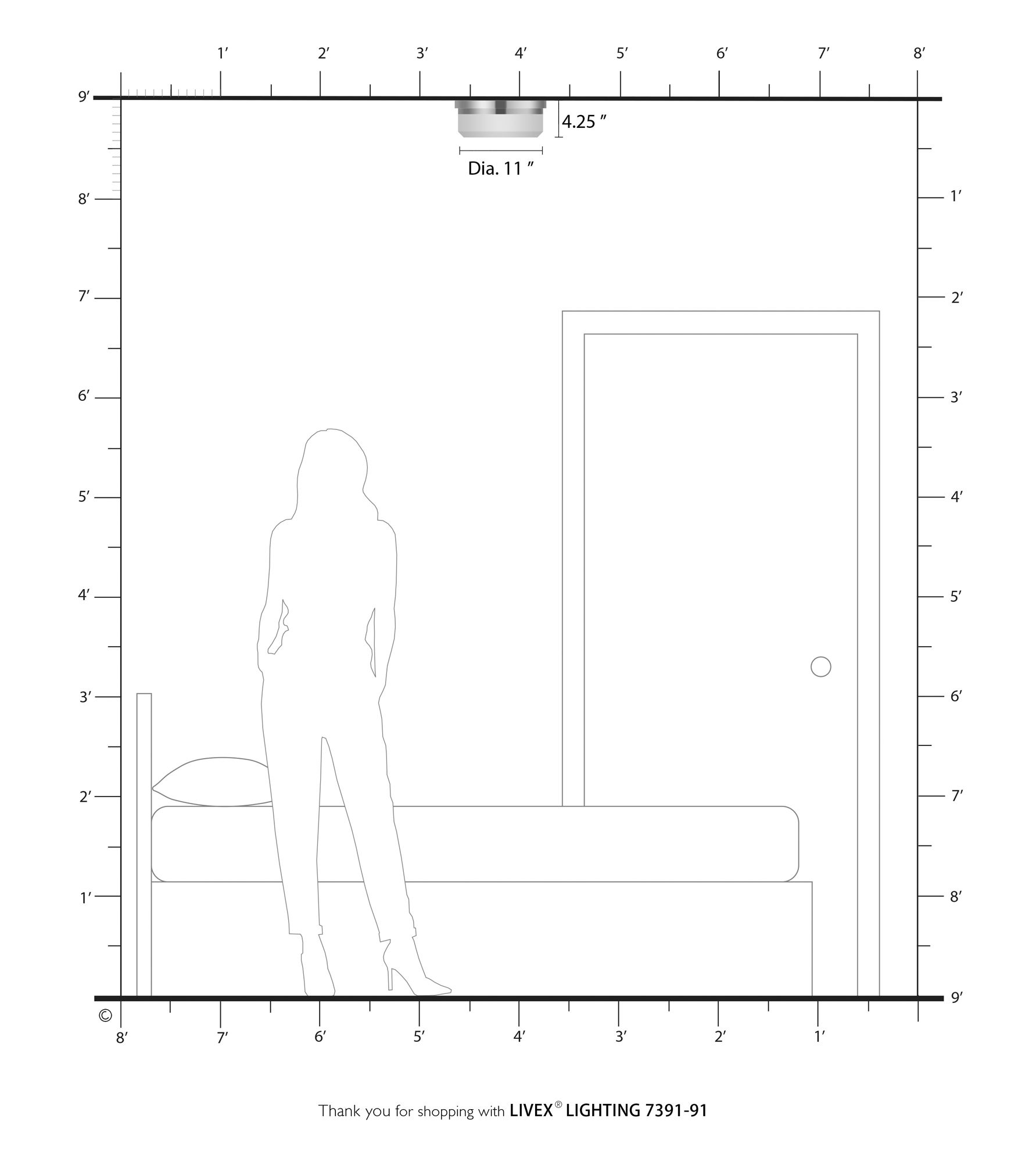2 Light Brushed Nickel Ceiling Mount