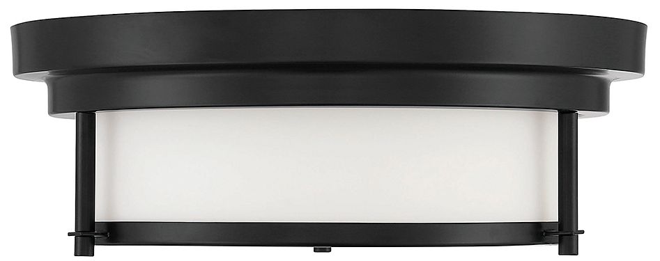 Image 2 2-Light Ceiling Light in Matte Black more views